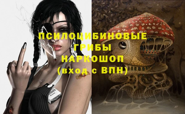 прущие грибы Белоозёрский