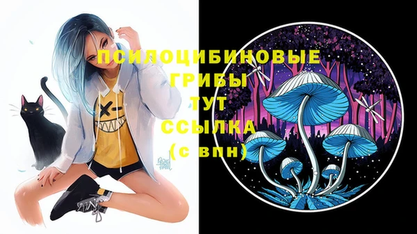 прущие грибы Белоозёрский