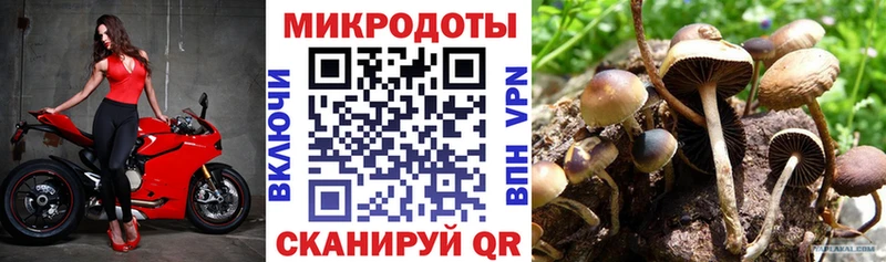 даркнет сайт  Светлогорск  мега ссылки  Галлюциногенные грибы GOLDEN TEACHER 